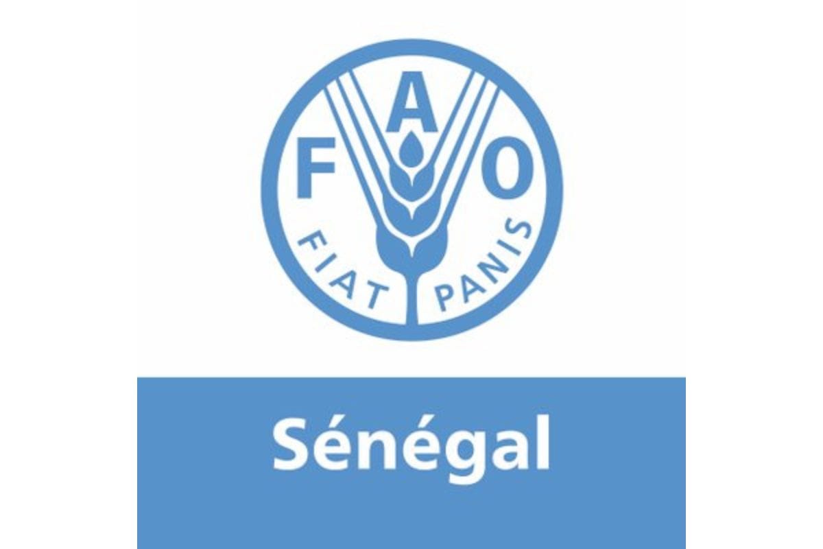 Project Logo