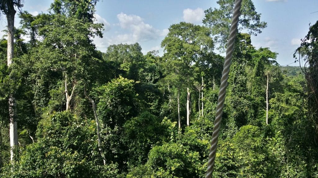 Nature-based climate adaptation in the Guinean forests of West Africa by World University Service of Canada (WUSC) and Centre d’Etude et de Coopération Internationale (CECI)
