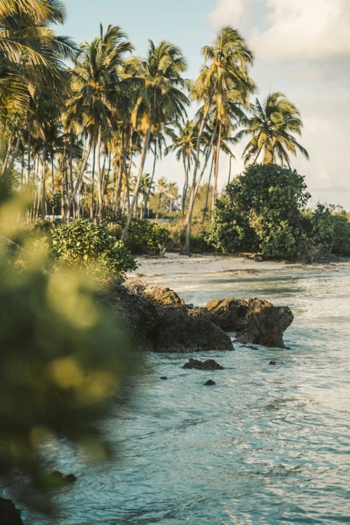Conservation and Sustainable Management of Coastal and Marine Ecosystems, by Plan International Canada
